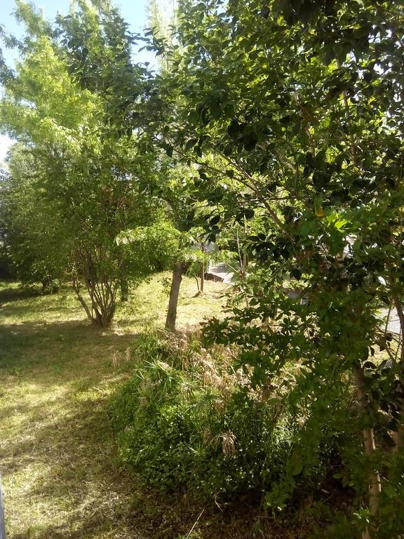 Grand Studio Proche Transport Montpellier Luaran gambar